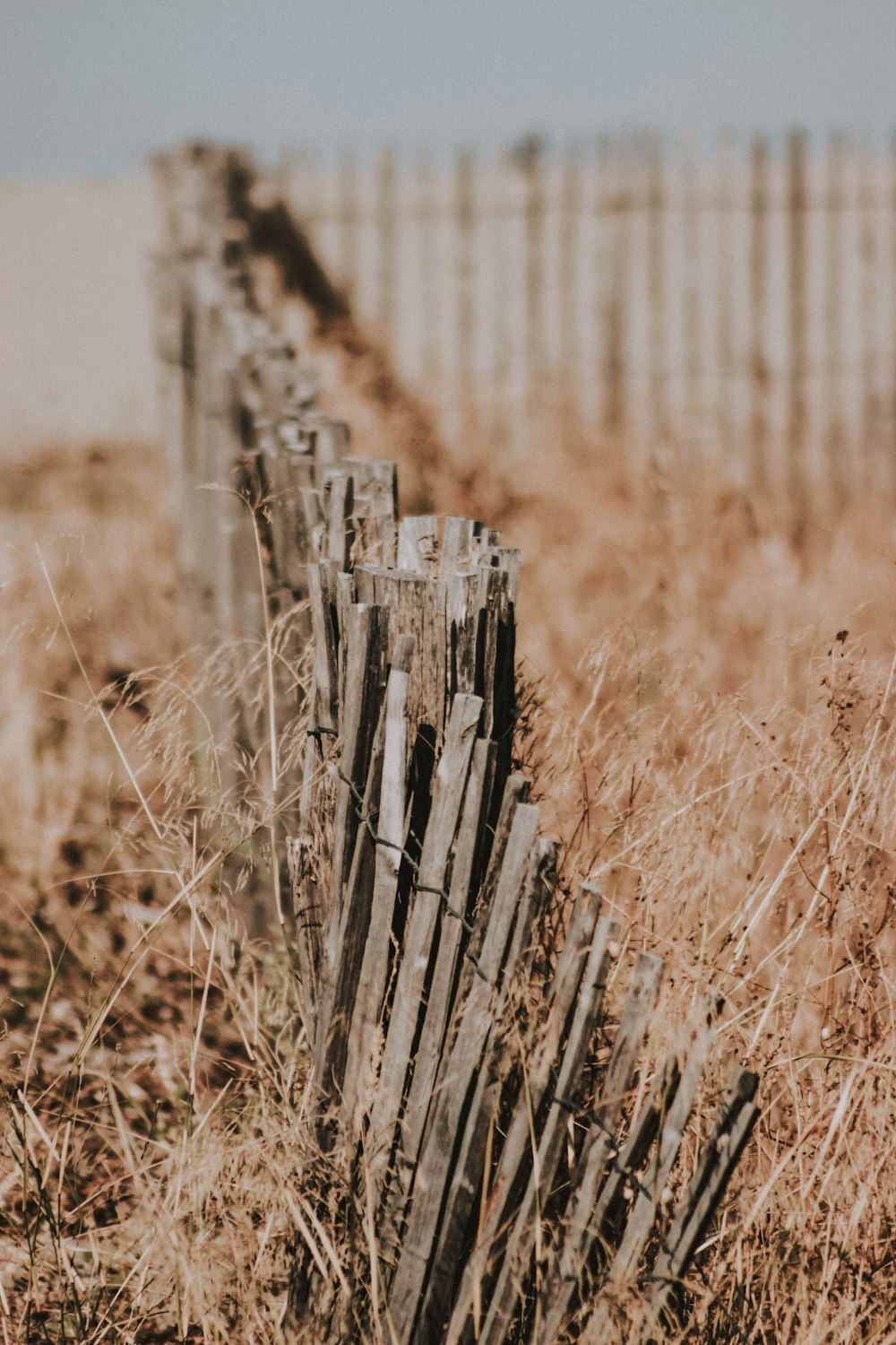 selective focus photography of brown fence