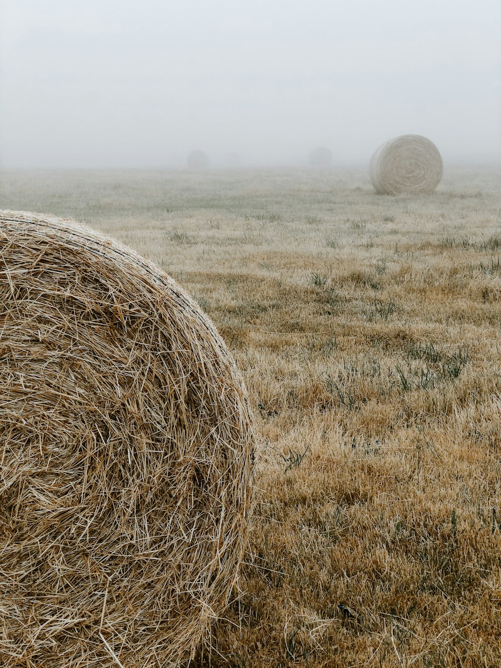 selective focus photography of hay roll