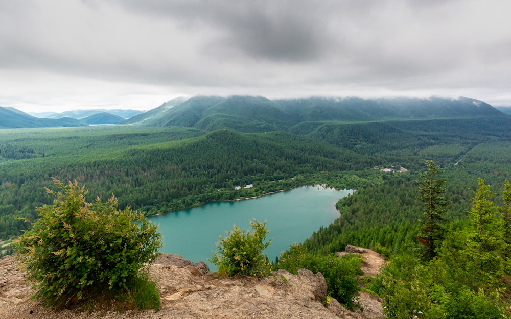 green trees near lake under cloudy sky during daytime