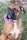 A brown and white boxer dog sitting on the grass wearing a purple flower around its neck. The dog has a serious expression and is looking slightly to the side.
