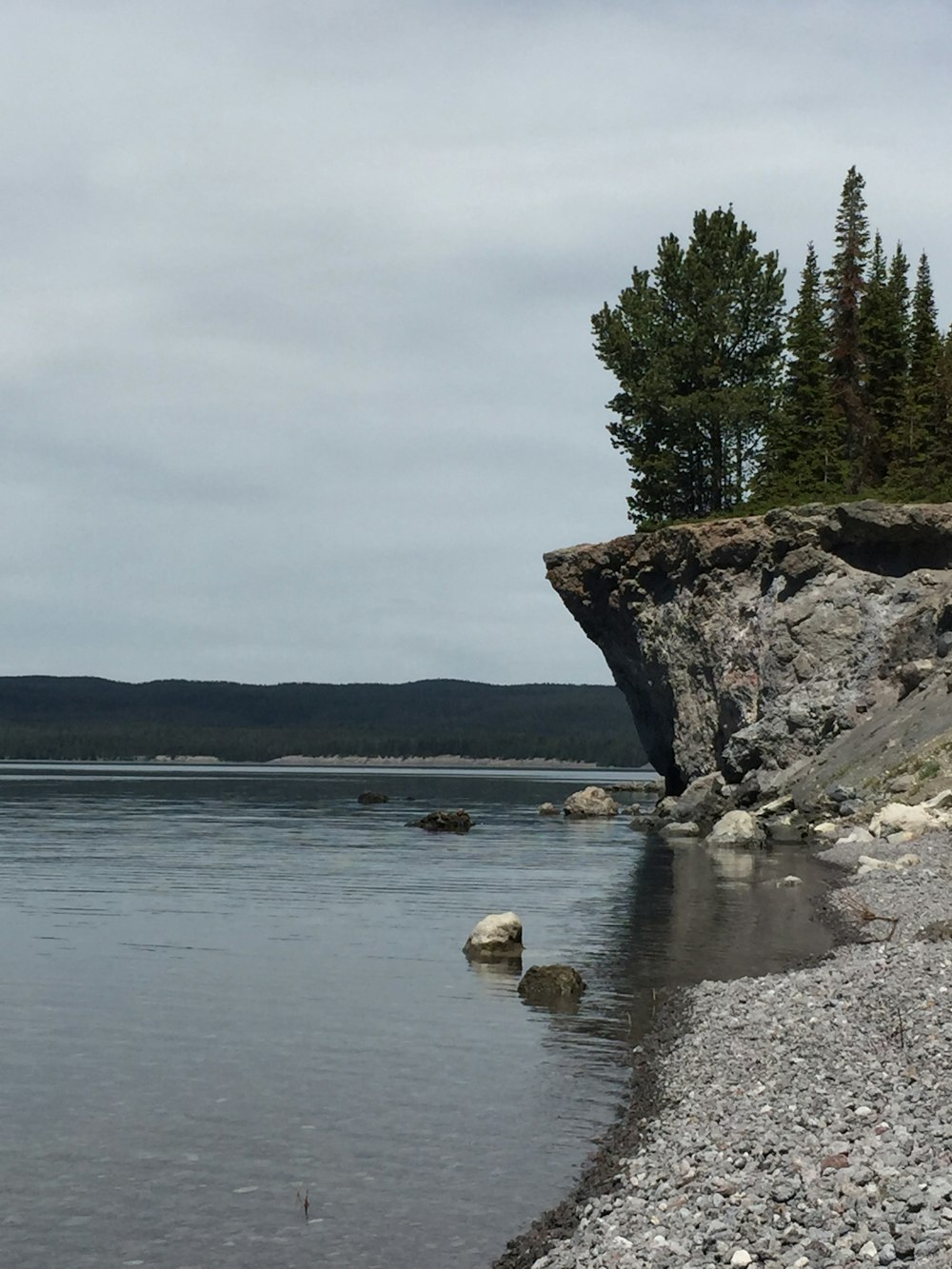 green leafed trees on gray cliff near body of water