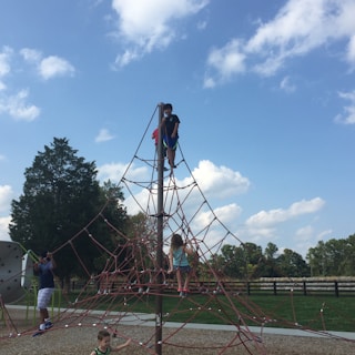 Children climbing high in the trees on colorful ropes at Pramogų žemė park