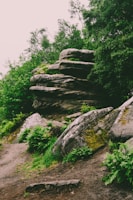 Close-up of a carefully arranged rock formation blending with lush greenery.