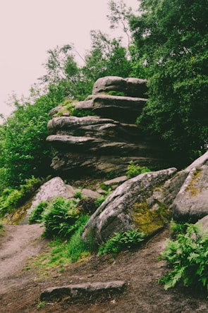 Close-up of a carefully arranged rock formation blending with lush greenery.