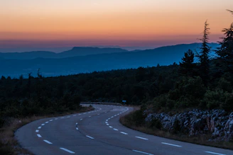 gray concrete road surrounded with trees during golden hour