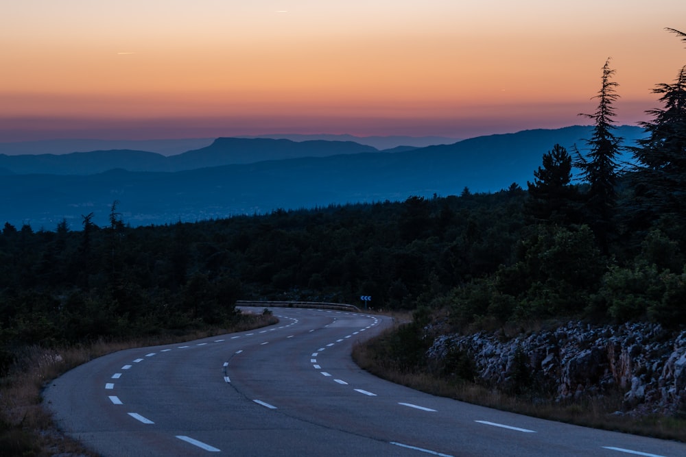 gray concrete road surrounded with trees during golden hour