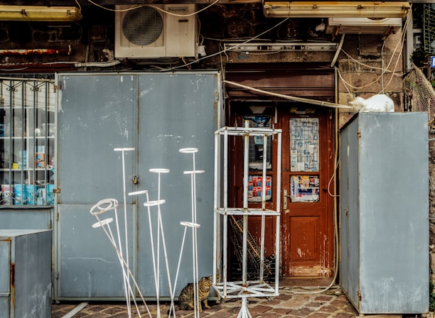A weathered storefront with a wooden door displaying posters and advertisements. An air conditioning unit is mounted above. Various metal frames and stands are placed in front of the door. A white cat lounges on top of a metal cabinet to the right, while a tabby cat sits on the ground near the door.