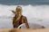 Woman surfer checking her phone on the beach with surfboards and ocean waves behind her.