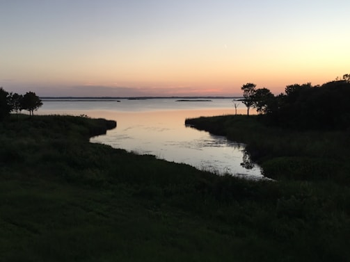 A quiet lakeside at dusk, the silhouette of trees reflected perfectly in still water.