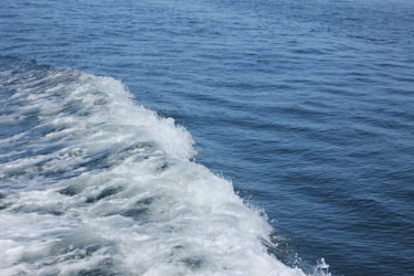 Understanding the Significance of Poisson, Laplace, and Maxwell’s Equations in Wave Propagation