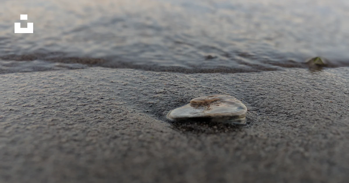 Photo en gros plan d’un plan d’eau à côté du rivage photo – Image ...