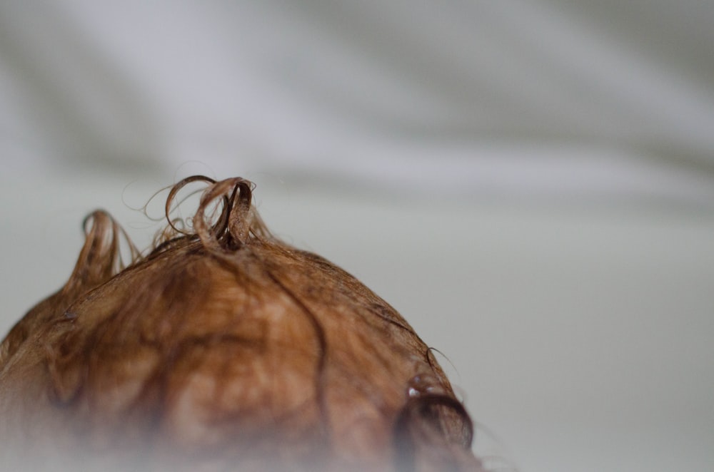 brown and white round fruit