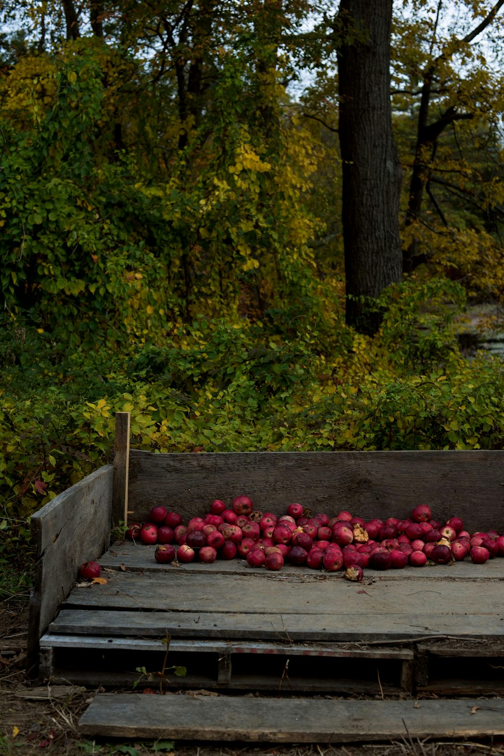 red apples on brown wooden crate