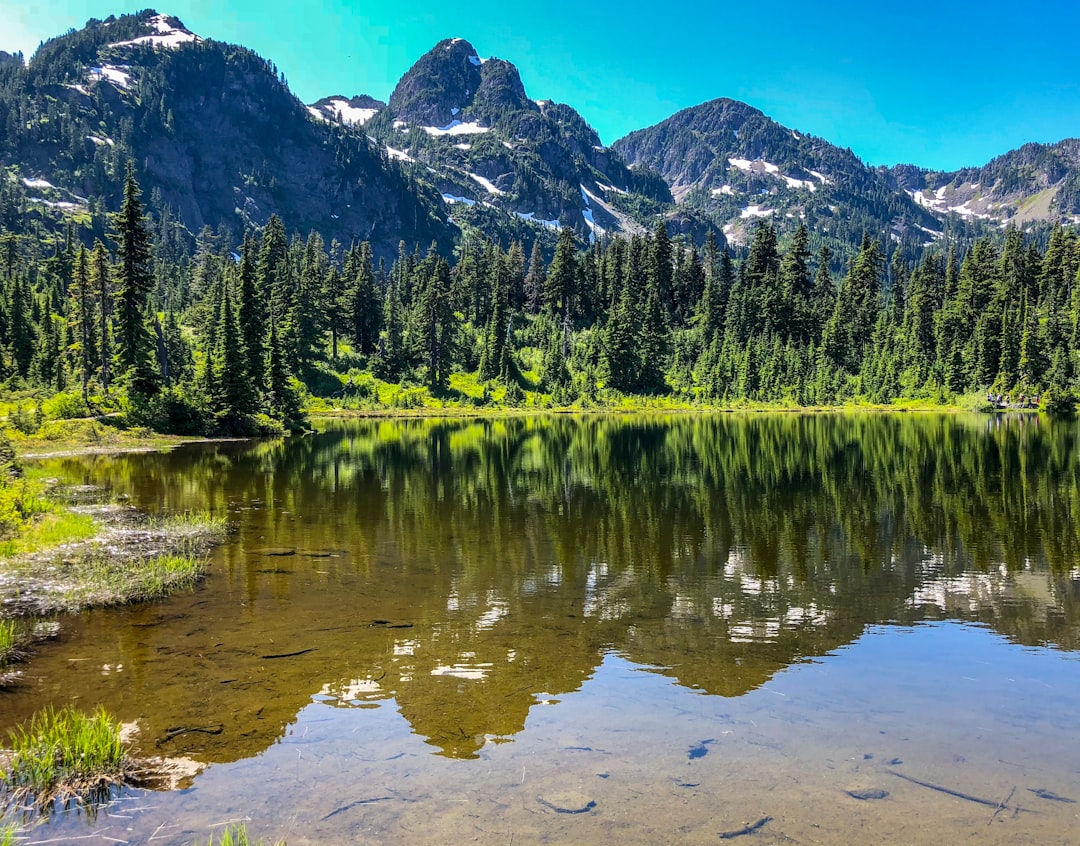 Mountain range photo spot Mount Baker Paradise