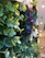 Close-up of a sophisticated floral arrangement with deep green olive leaves and subtle beige accents, styled in a modern luxury setting.