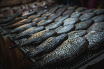 A vibrant display of fresh fish at a market.