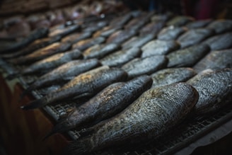 A display of numerous raw fish laid out on a surface, possibly at a market. The fish have a silvery, scaly appearance and seem fresh.