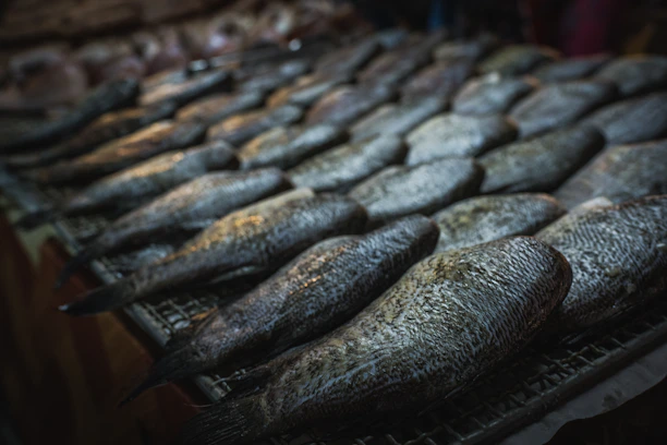 A display of numerous raw fish laid out on a surface, possibly at a market. The fish have a silvery, scaly appearance and seem fresh.