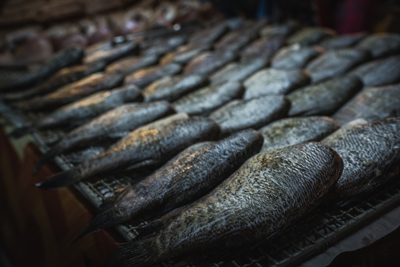A display of numerous raw fish laid out on a surface, possibly at a market. The fish have a silvery, scaly appearance and seem fresh.