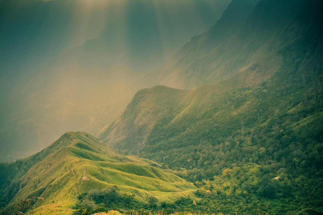 travelers stories about Hill in Munnar, India