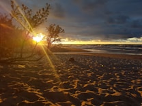 The image portrays a serene beach scene during sunset, with the sun's rays casting golden light across the sandy shore. The sky is filled with dark, dramatic clouds, adding contrast to the bright horizon. Sparse trees with bare branches are silhouetted against the vibrant sky.