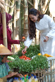 woman picking tomatoes