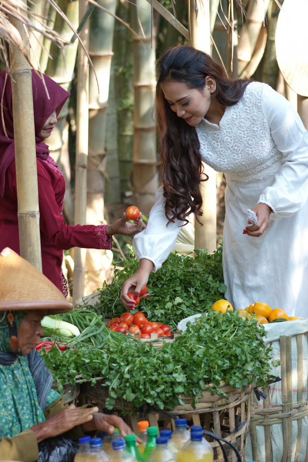 woman picking tomatoes