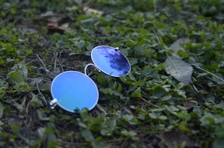 Round sunglasses with blue reflective lenses lie on a patch of green grass and earth, surrounded by small leaves and twigs.