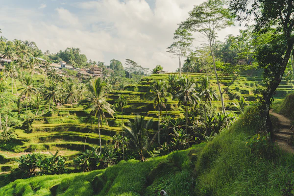 Wisata Budaya