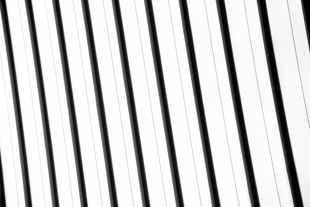 black and white lines