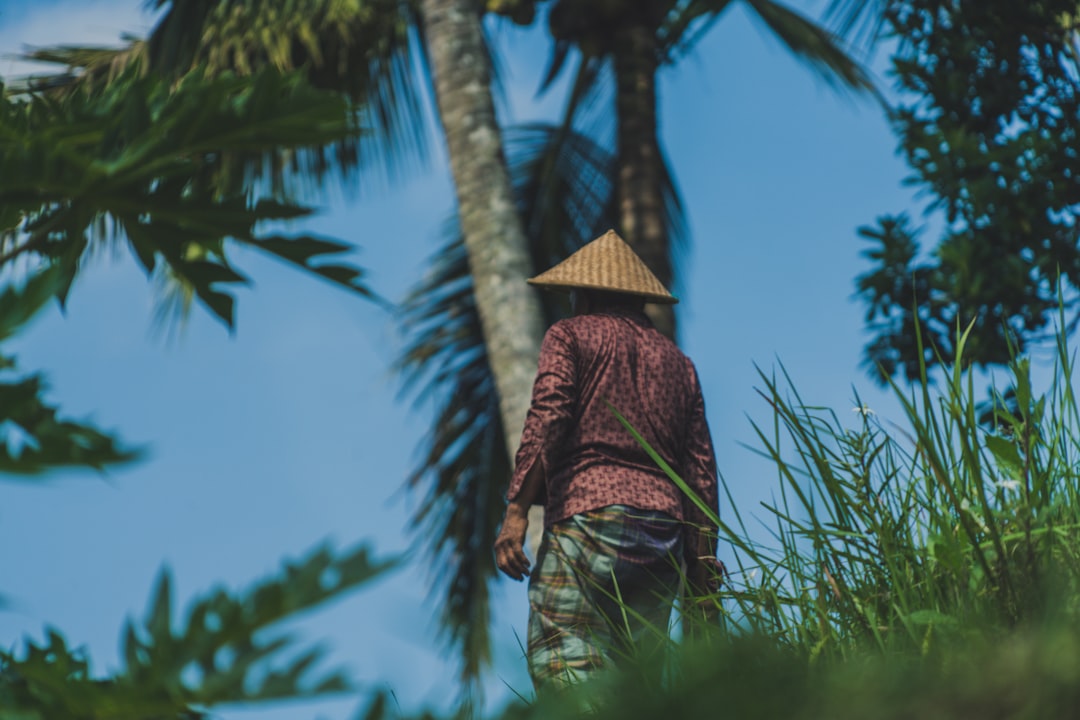 shallow focus photography of man wearing wicker hat, A working man in Tegalalang rice terrace