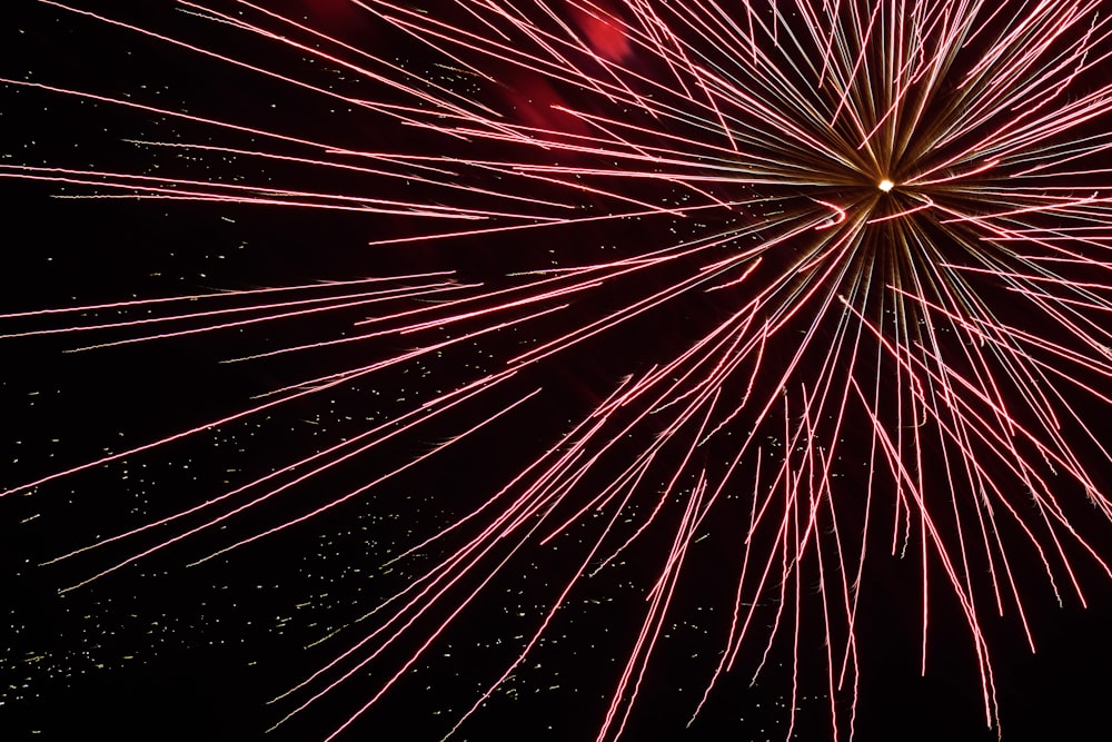 closeup photo of fireworks