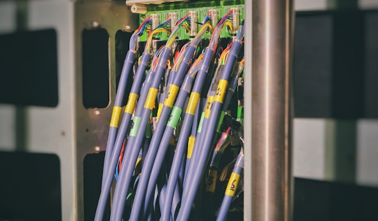 blue LAN cable plugged in green and black router