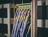 blue LAN cable plugged in green and black router