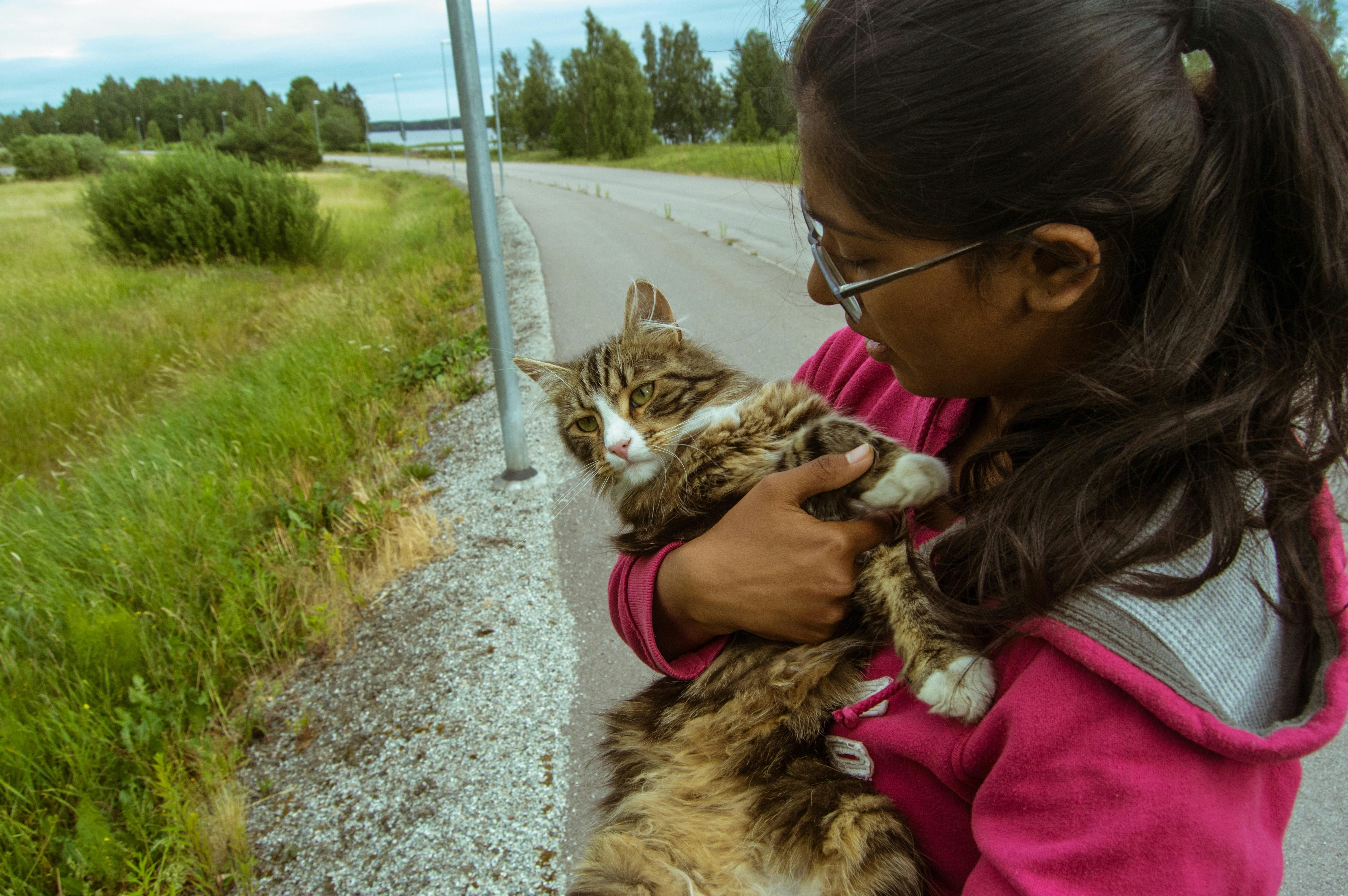 爱上琉璃苣女孩电视剧免费观看