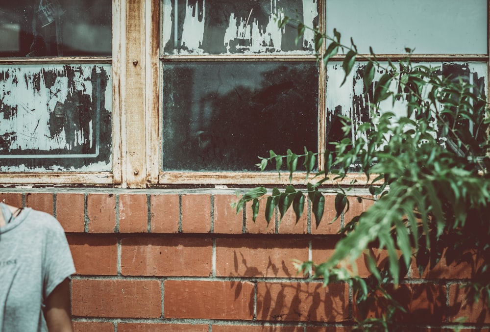 green leaf plant near window