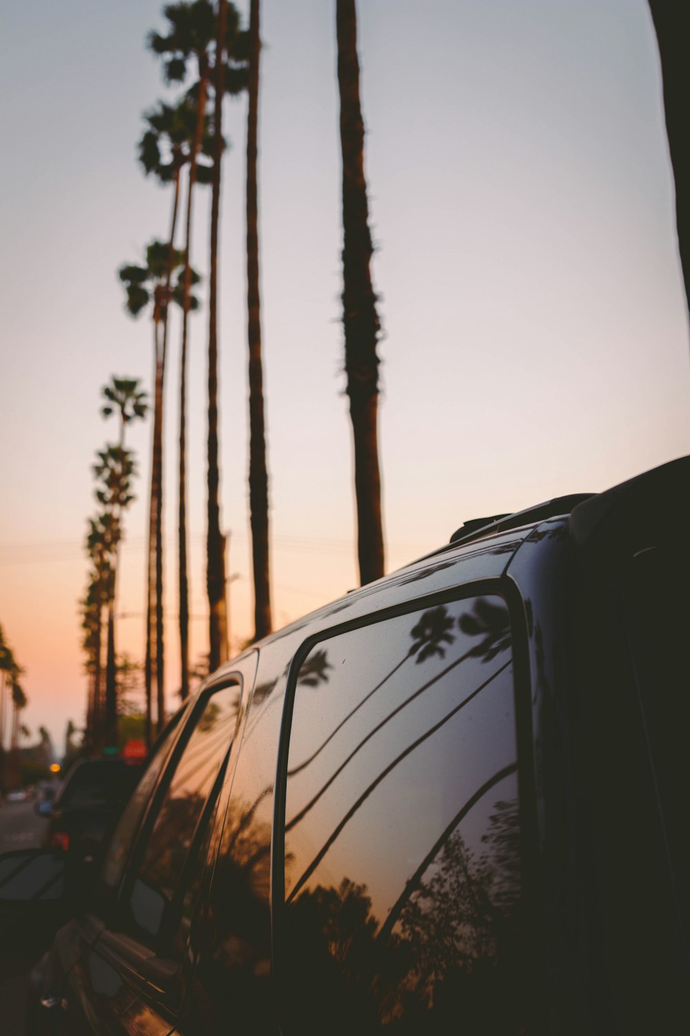 silhouette of tree and vehicle