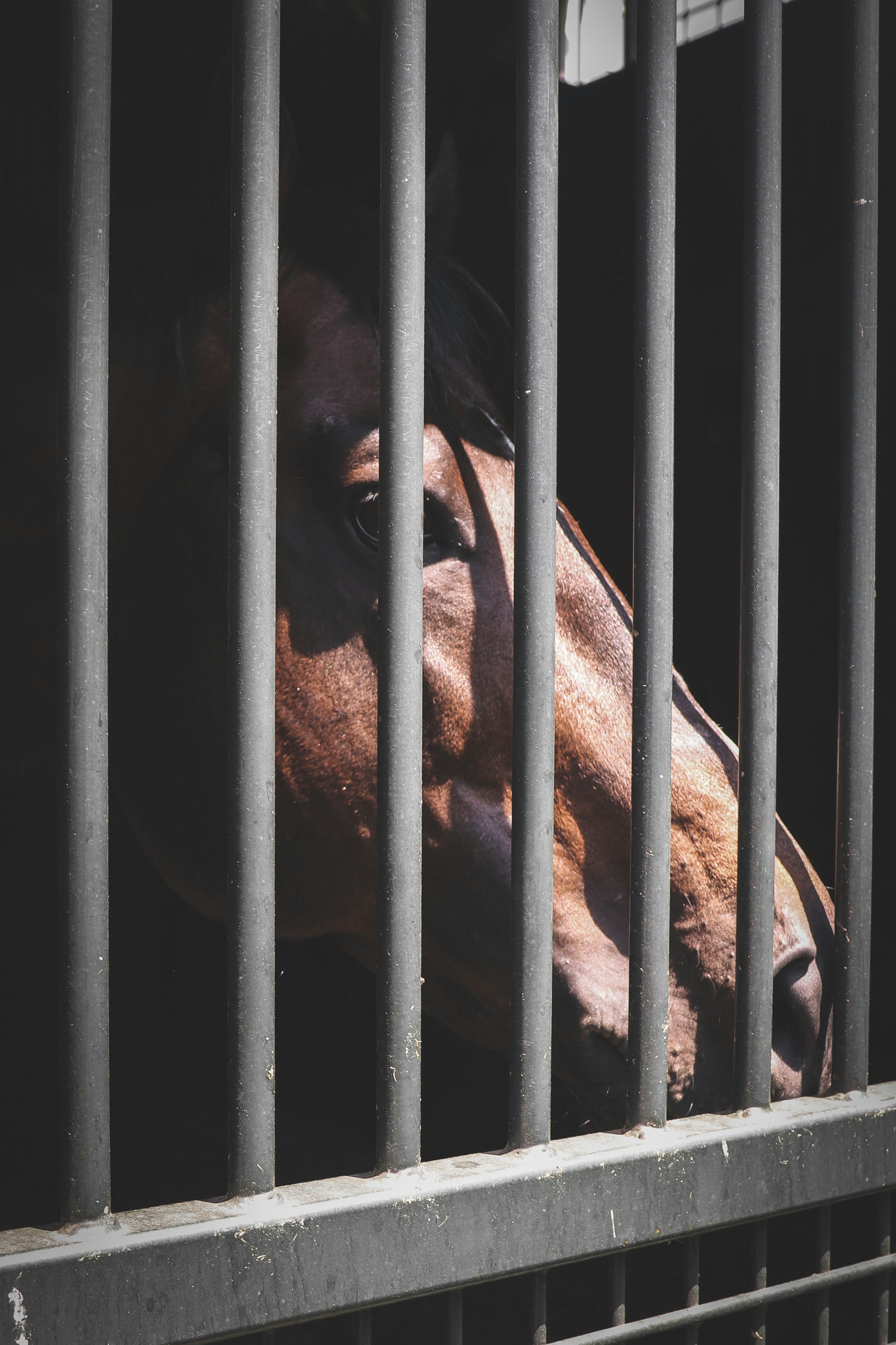 밤알바, 구미호알바, 유흥알바, 룸알바, 여우알바