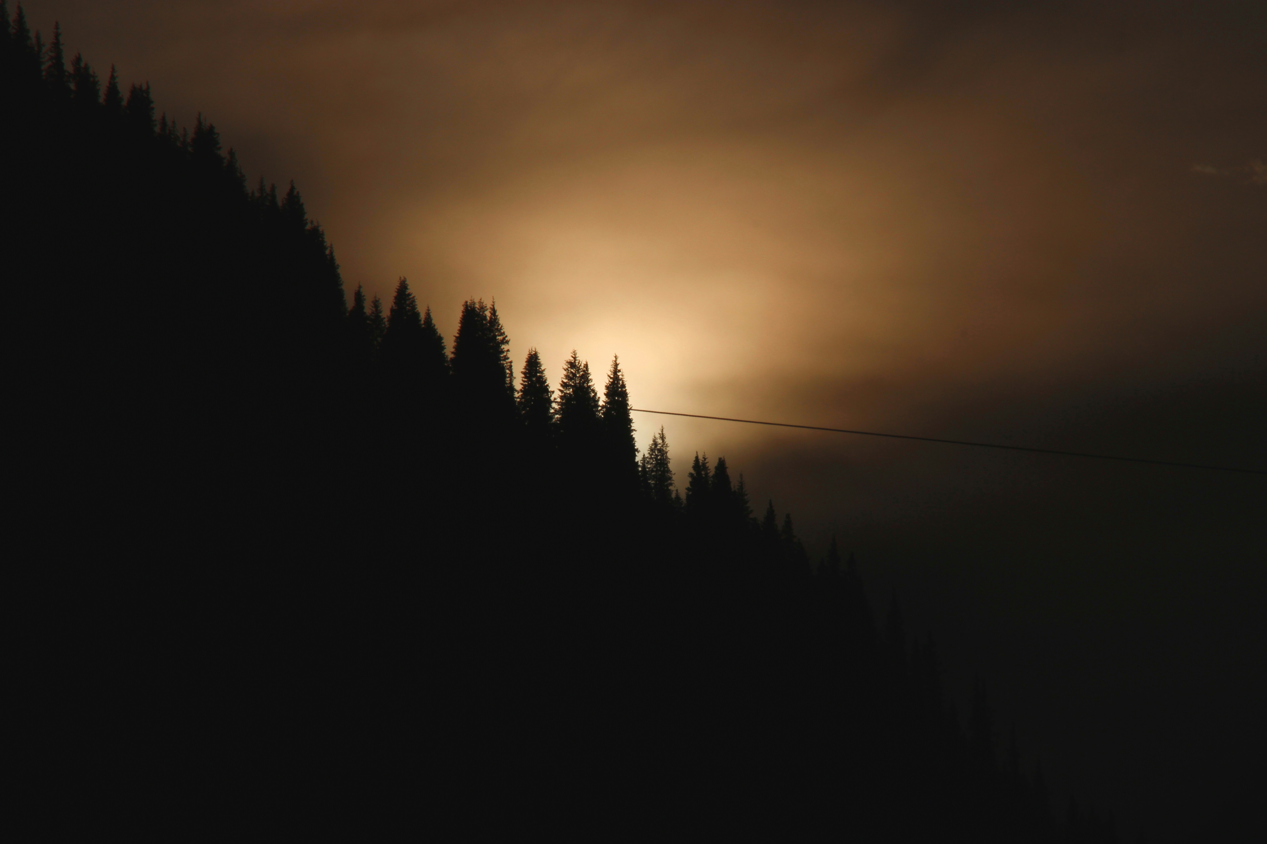 Photo by silverarrow