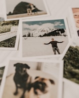 photo of man on snow-covered land