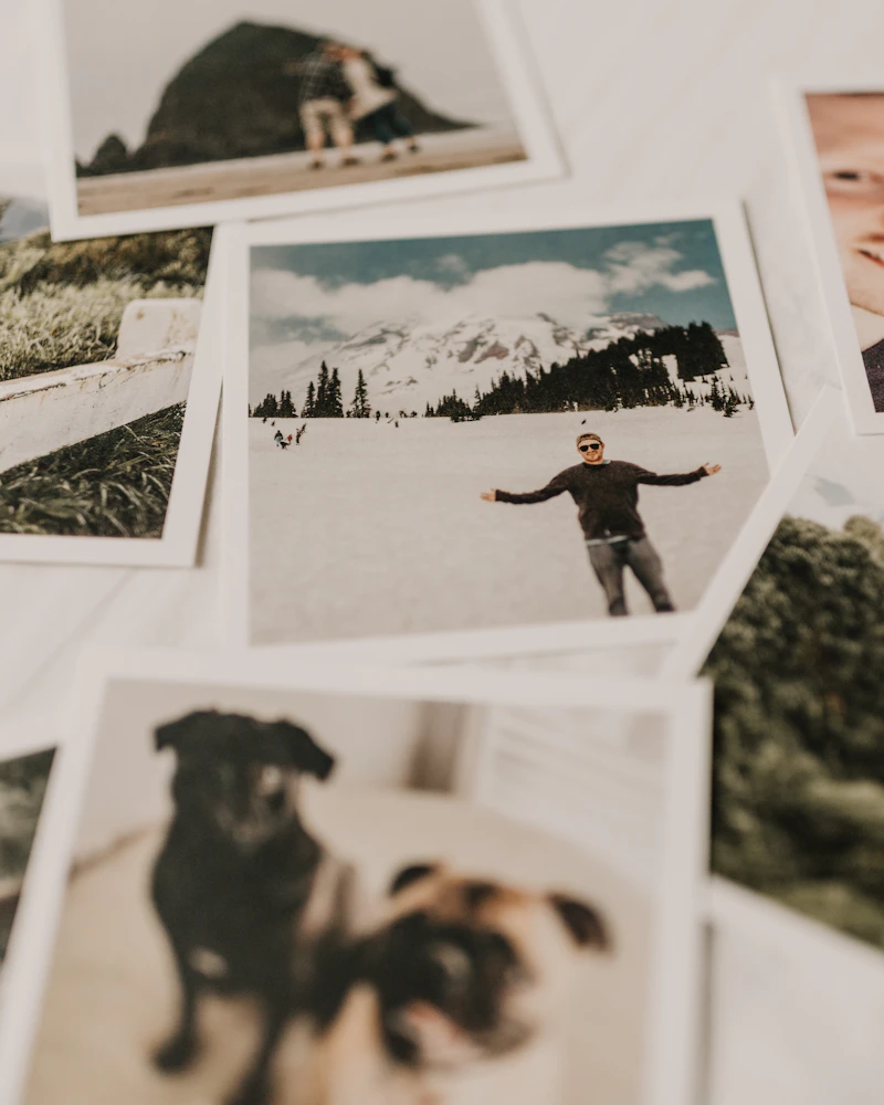 Scattered polaroid photos of family moments, pets and travel - the kind that belong on the fridge