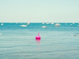 pink flamingo floats