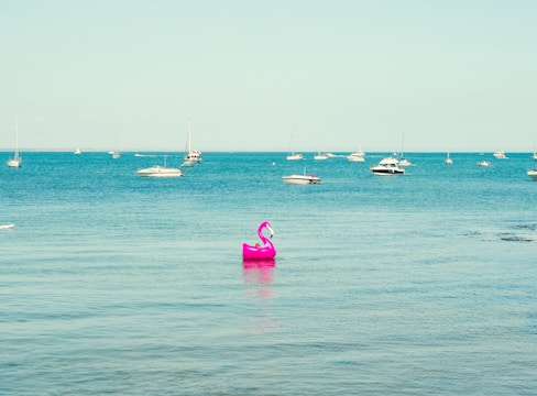 pink flamingo floats