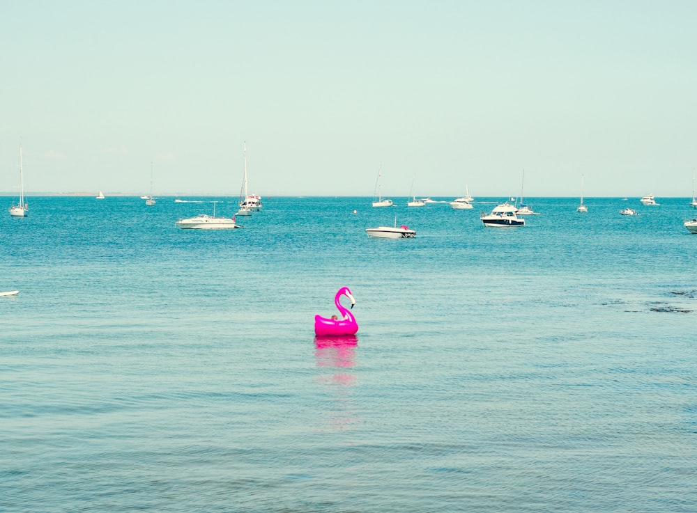 Flotteurs de flamants roses