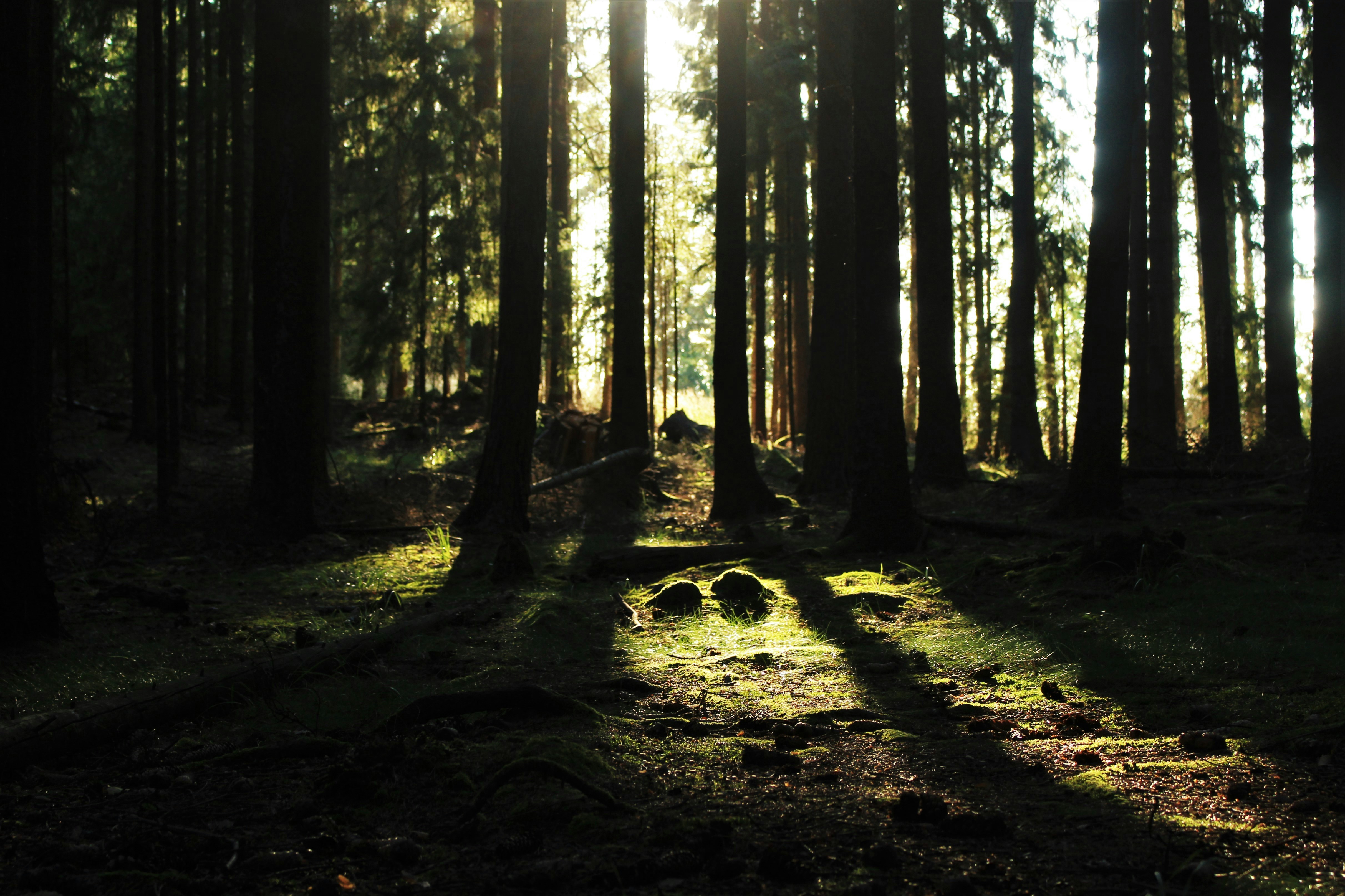 Photo by marjorylucabaxter