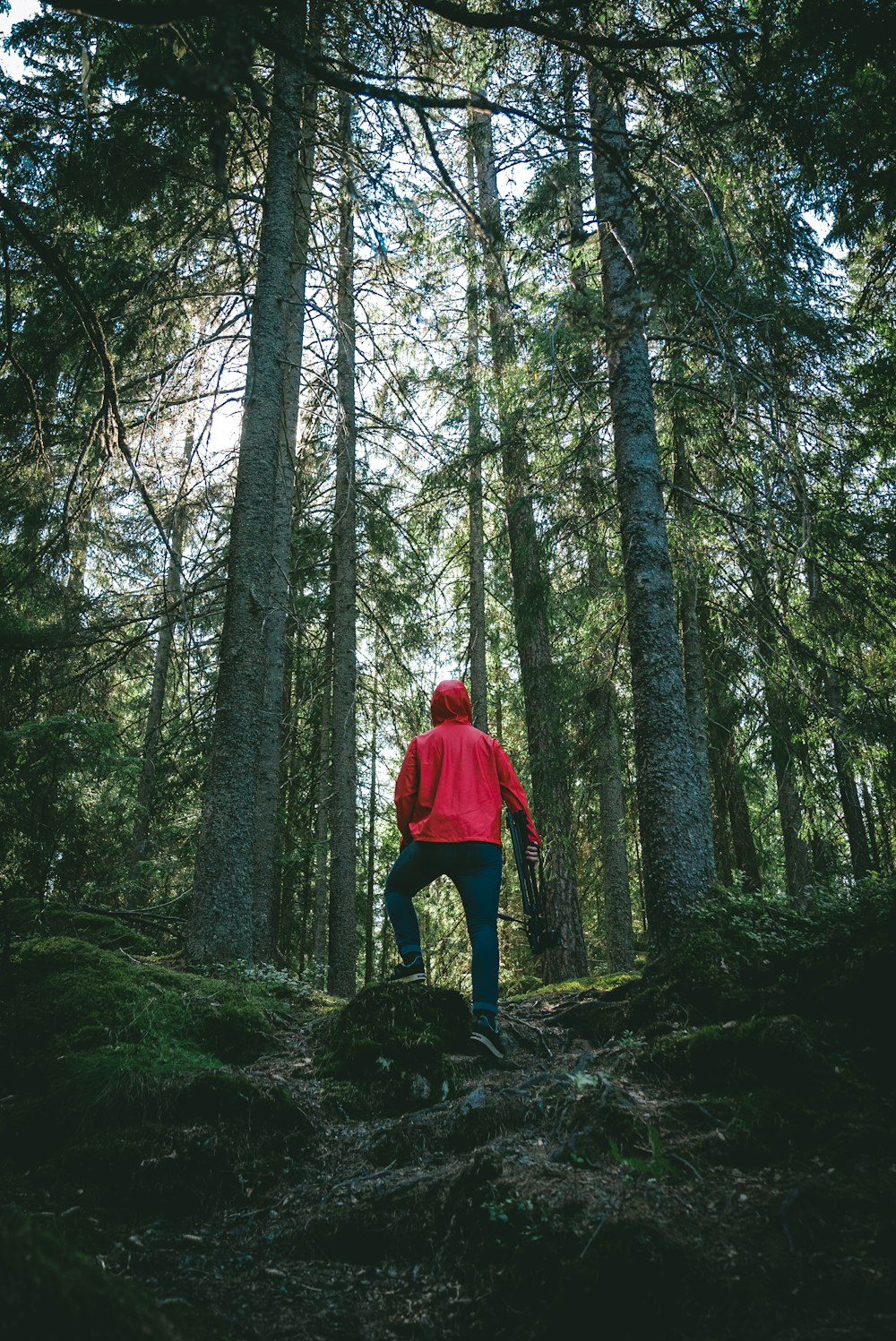 a man in a red jacket walking through a forest