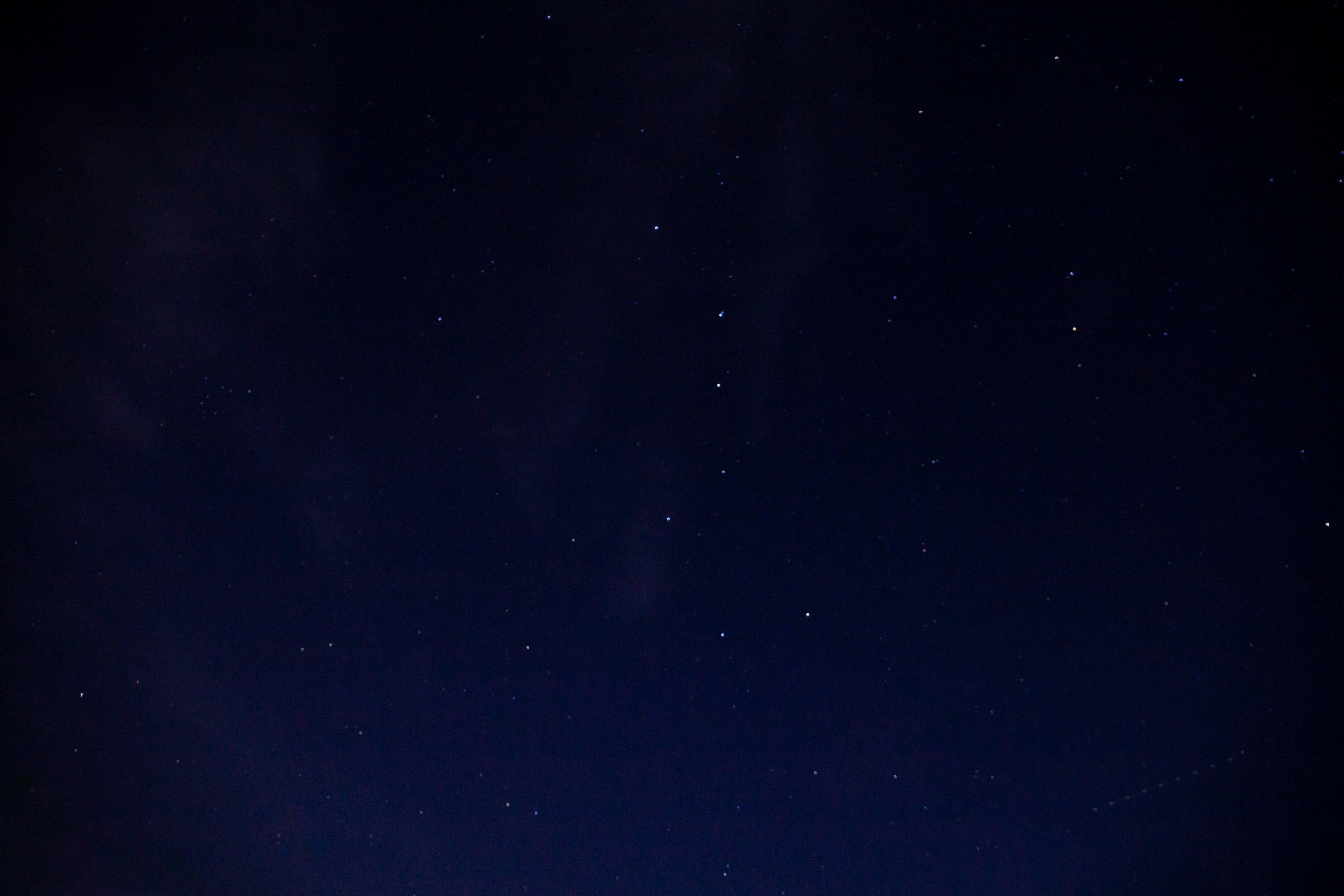 Bull Coin header image