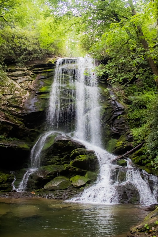 waterfalls between green trees in Pisgah National Forest United States