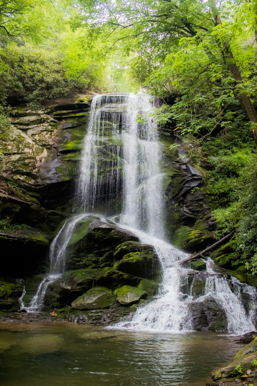 waterfalls between green trees