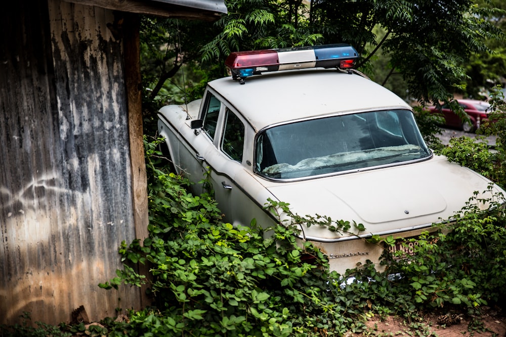 white police car near a black house